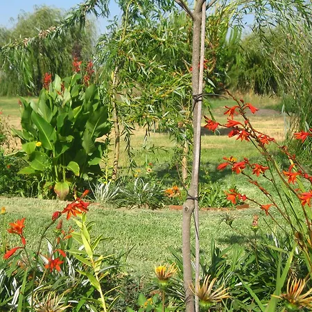 Bed & Breakfast Casa Das Andorinhas