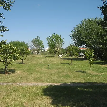 Bed & Breakfast Casa Das Andorinhas Palmela