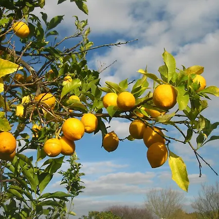Bed & Breakfast Casa Das Andorinhas *