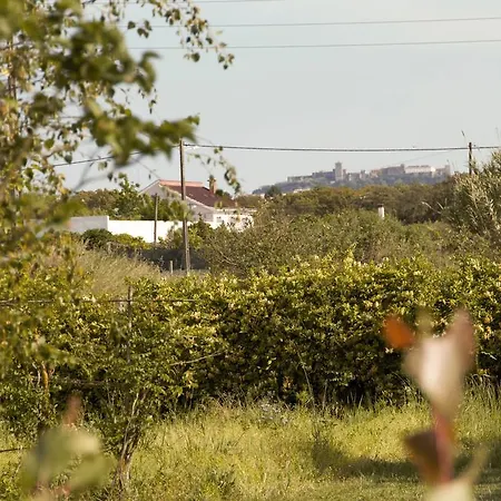 Bed & Breakfast Casa Das Andorinhas Palmela