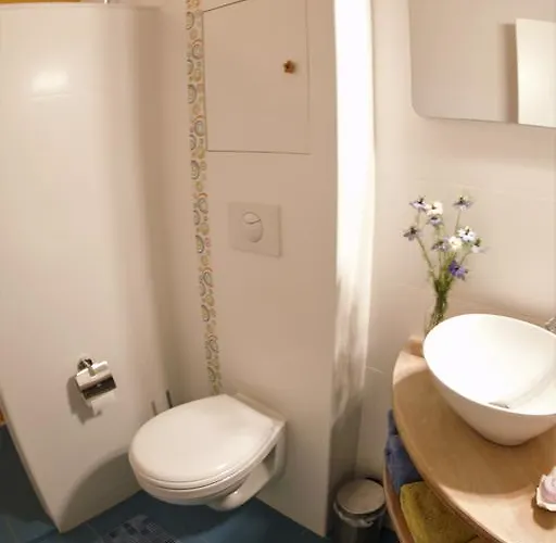 Alojamento de Acomodação e Pequeno-almoço Casa Das Andorinhas *